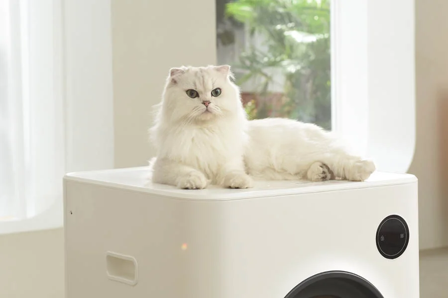 best automatic kitty litter