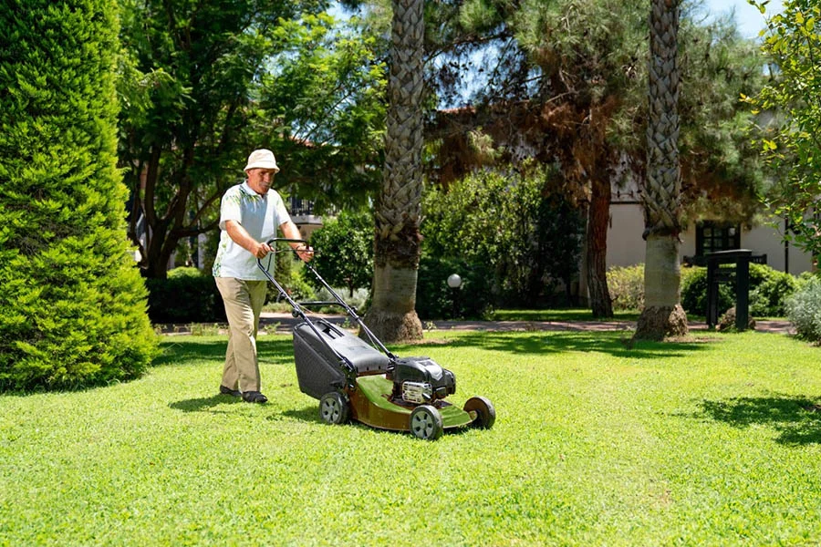 electric push mower